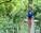 outdoor activities