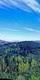 View of mountains and forest from Go Ape location