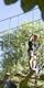 Two children on a Go Ape tree top high ropes crossing in the forest