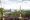A Go Ape course against a city skyline