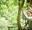 woman in grey jumper smiling holding high rope wearing harness in forest.