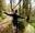 Woman balancing on go ape crossing with arms out | adventure gift voucher ideas & gift experiences