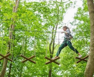 Adventurous High Ropes in Chessington, Surrey | Go Ape