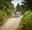 group of people wearing helmets whilst on segways on forest path.