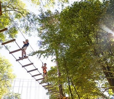 Go Ape in the South East | Go Ape