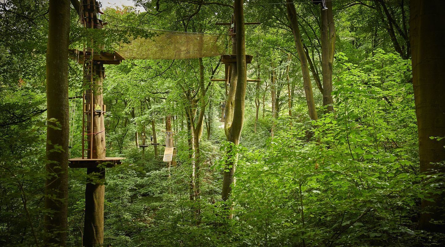 Best Quirky Things To Do In Buxton Outdoor Go Ape 