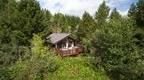 Scenic view of a forest holiday cabin 