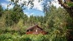 A Forest Holidays cabin in the woods a great place to stay if you're looking for things to do at Delamere Forest