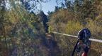 The view down a zip wire in the forest from a Go Ape treetop platform