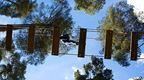 Tarzan Swing Scariest Part Go Ape Go Ape Tarzan Swing Scariest Part Go Ape Go Ape