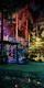 Go Ape Treetop Adventure course lit up at night for Sundown Adventures