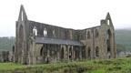 Tintern Abbey | Fun Things to Do in The Forest of Dean