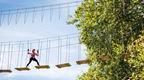 Woman on Treetop Challenge adventure at Go Ape Alexandra Palace  