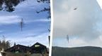 trees being lifted away at whinlatter