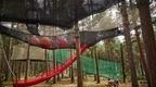 rope and walkway net course between trees in forest