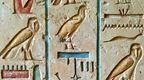 Ancient egyptian hieroglyphics  | Fun Things to Do in Devon