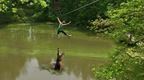 A crocodile leaping out of a lake towards a person riding a Go Ape zip wire on the new Treetop Safari experience at Go Ape Woburn