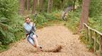 A man racing a falcon down a zip wire