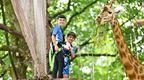 Children feeding a giraffe on the new Go Ape Treetop Safari expereince at Woburn Safari Park