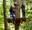 Woman swinging on Go Ape crossing | couples experience gifts, couples gift experiences, gifts experiences for couples