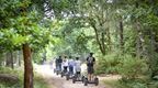 group on segways in forest