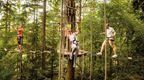 a group of colleagues on a Go Ape high ropes course