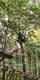 a boy departing down a Go Ape zip wire with abig smale an enjoying his boarding school pastoral visit to Go Ape