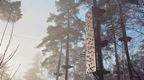 Climbing wall at Go Ape Wendover