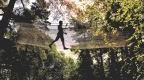 Person crossing a treetop crossing at Go Ape.