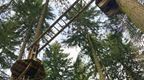 Monkey Bars crossing at Go Ape Thetford