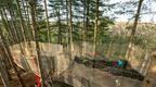 A family playing on Go Ape Nets Adventure at Moors Valley