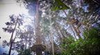 Our Highlights Live Adventure Go Ape Go Ape Our Highlights Live Adventure Go Ape Go Ape
