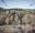 Two people hi-fiving at Go Ape Aberfoyle