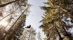 person on zip line in forest at Go Ape with sun shining in background