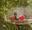 A group of children enjoying a Go Ape Nets Adventure at Alice Holt, a fun play activity near Farnham.