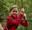  A girl wearing a red top walks out on to a Go Ape Treetop Adventure crossing in the forest, supervised by his dad on a family day out for half term