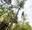 A boy wearing a blue top negotiates a tricky high ropes crossing on Treetop Adventure Plus