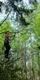 A woman smles as she makes her way over a Go Ape high ropes crossing on a summer day out whilst her friend watches on from a tree top obstacle nearby