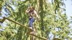 Treetop Challenge at Bracknell