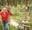 A woman and her colleagues on a Go Ape course for their team away day