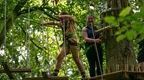 Group on Go Ape Chelmsford Tree top crossing  