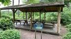 Go ape forest Shelter at Coventry