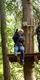 Young girl on Go Ape Coombe Abbey Treetop Challenge | things to do in coventry