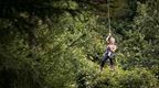 Woman in purple descending a zip line at Go Ape Dalby in blog about some of the best zip wires in the UK  