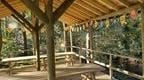 Birthday bunting in the forest shelter at Go Ape Dalkeith Edinburgh adventure park