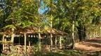 The forest Shelter at Go Ape Dalkeith adventure park Edinburgh