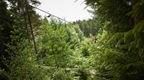 Man in red shirt on zip line at Go Ape Haldon in blog about some of the best zip wires in the UK 