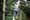 Woman in grey jumper on Go Ape Margam Park Treetop Challenge crossing 