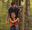 A boy and his dad enjoying a Go Ape Treetop adventure outdoor activity for families on a day out near Keswick in the Lake District .