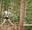 A woman smiles as she negotiates a Go Ape crossing in the treetops